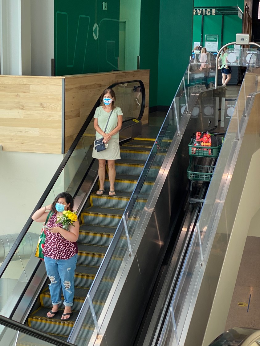 The Beginning | Cartveyor