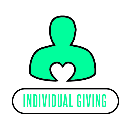 individual nh nonprofit donation