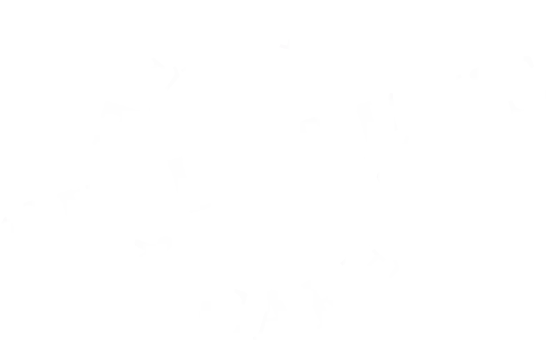 Children's Healthcare Logo