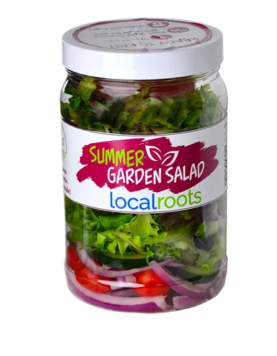 Summer Garden Salad Image