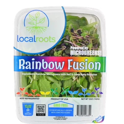 Rainbow Fusion Image