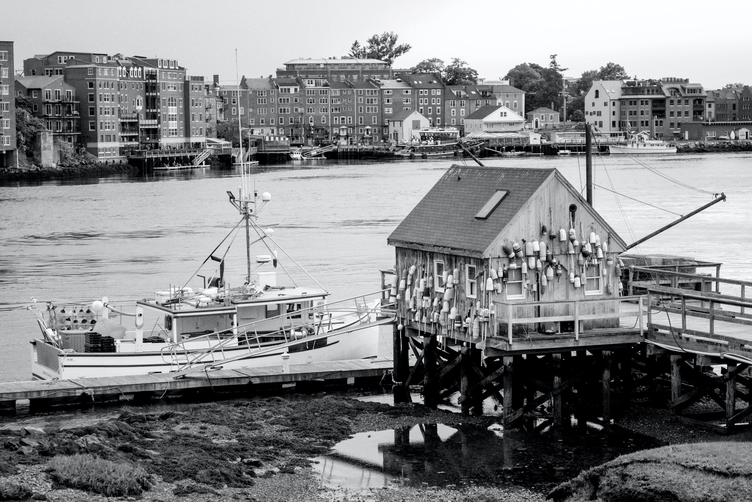 harbor boat tours near me