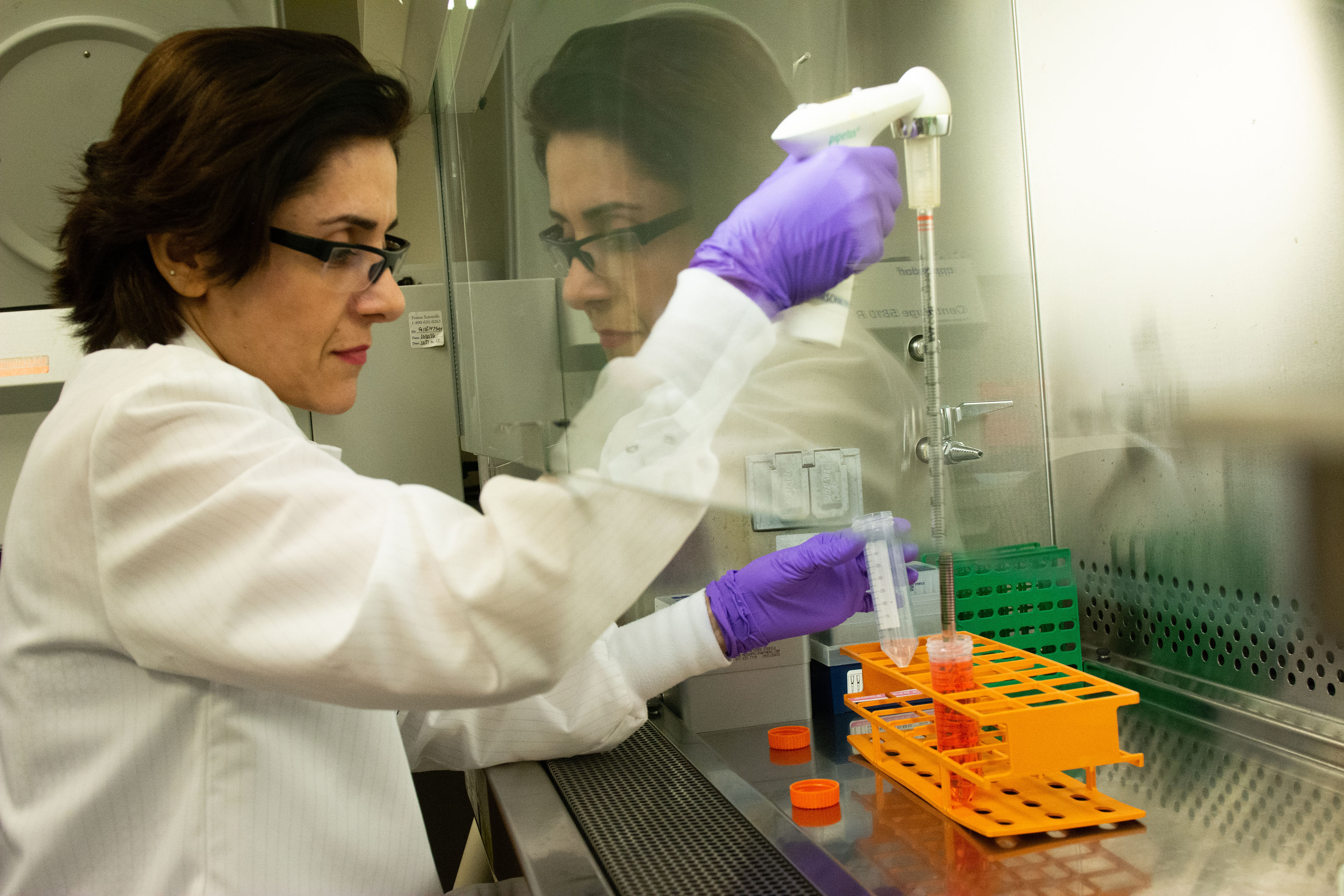 Brigham MS | SUMMIT Study