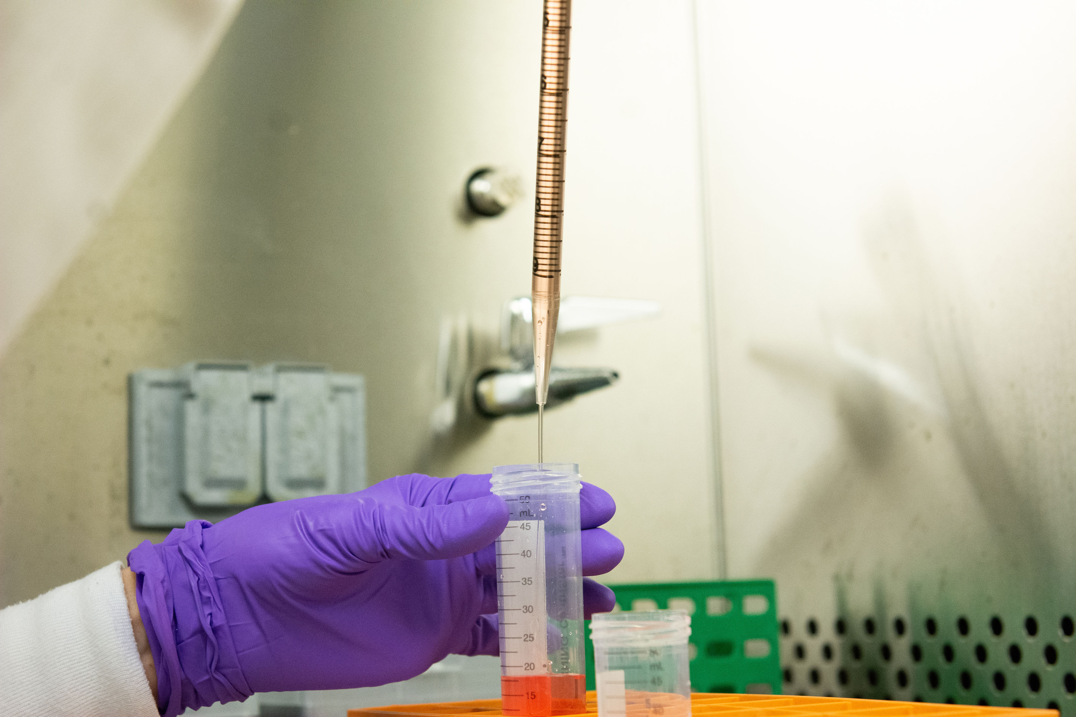 Brigham MS Center | Bakshi Lab