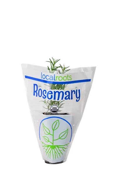 Rosemary Image
