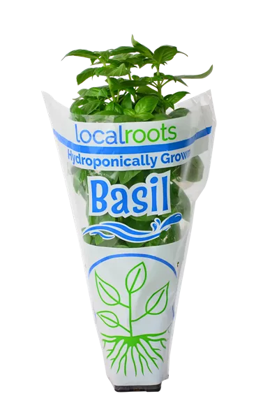 Hydroponic Basil Image