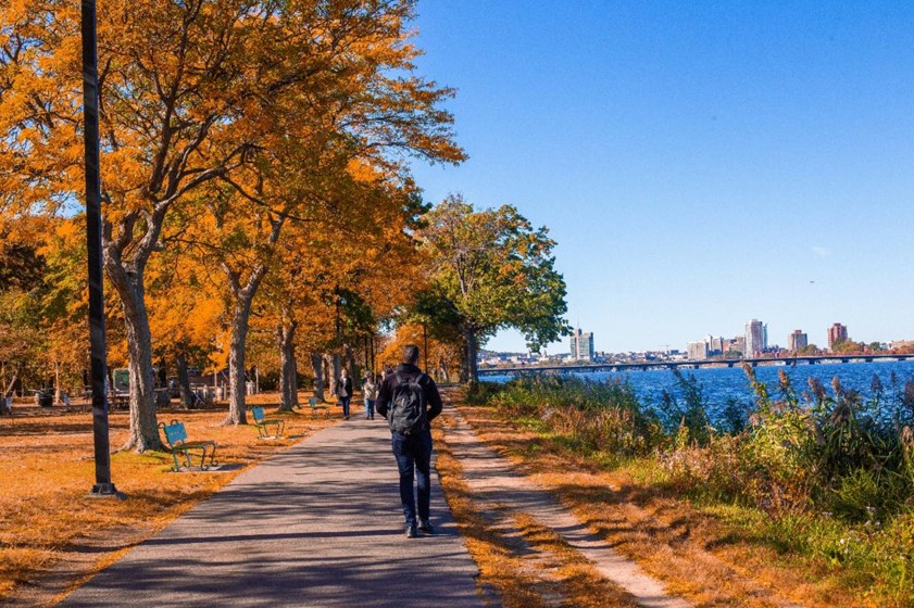 A person walks on a paved pathway lined with trees and benches, with a body of water and city skyline in the background.