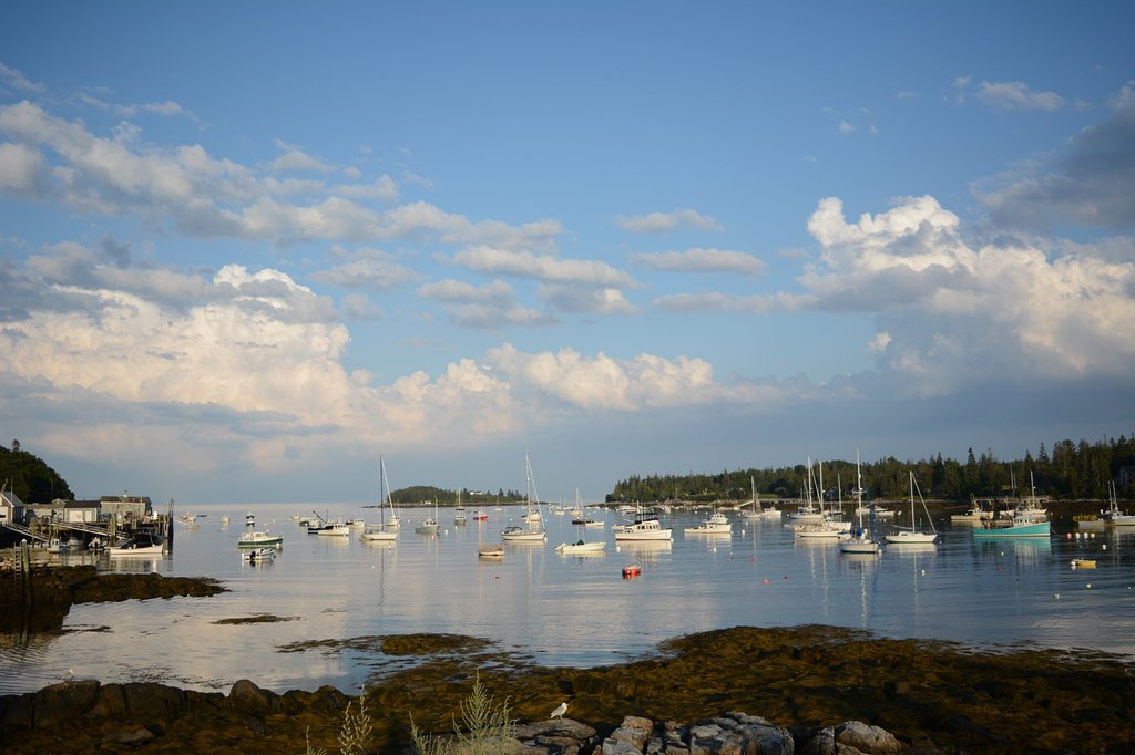 Image of Tenants Harbor