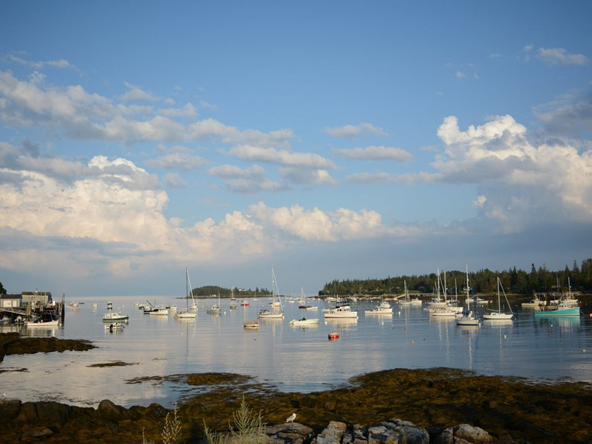 Image of Tenants Harbor