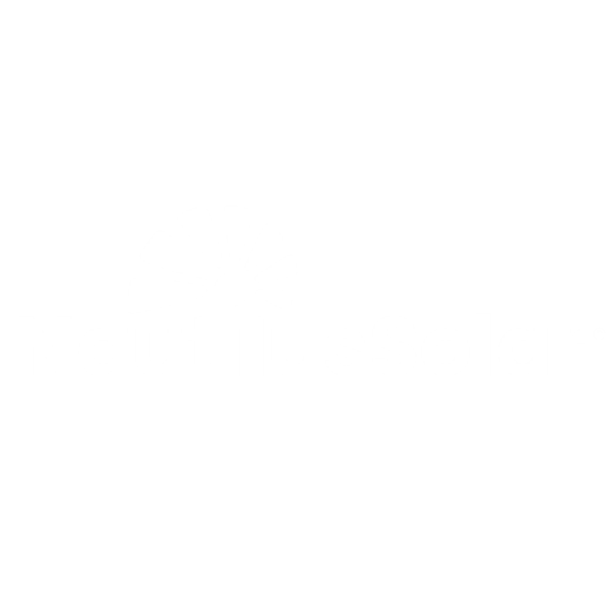 Nautilus Solar logo