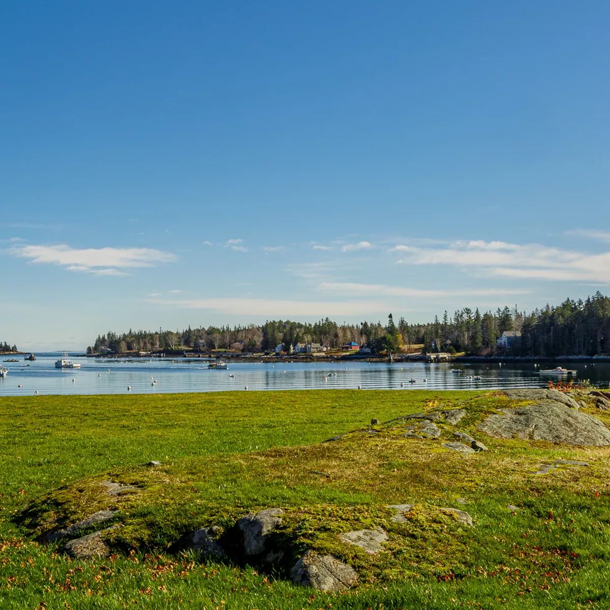Beer and wine on ice