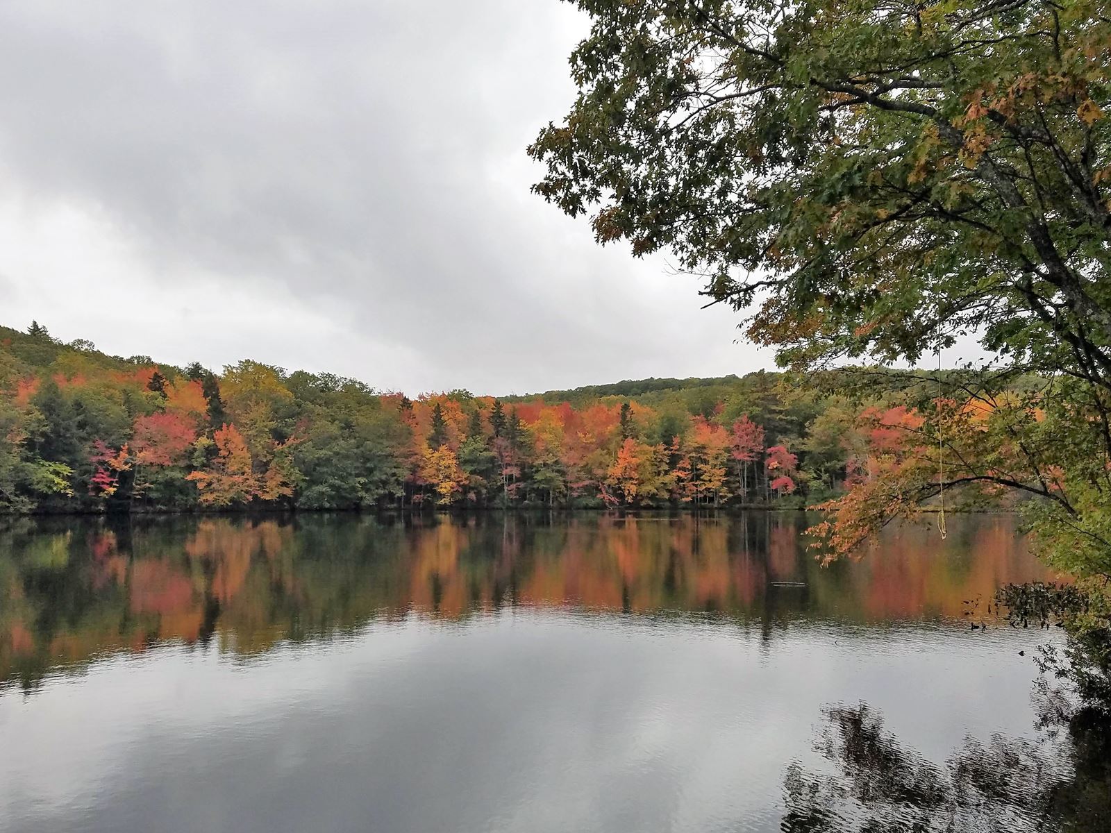 Experiencing the Beauty of Fall Foliage