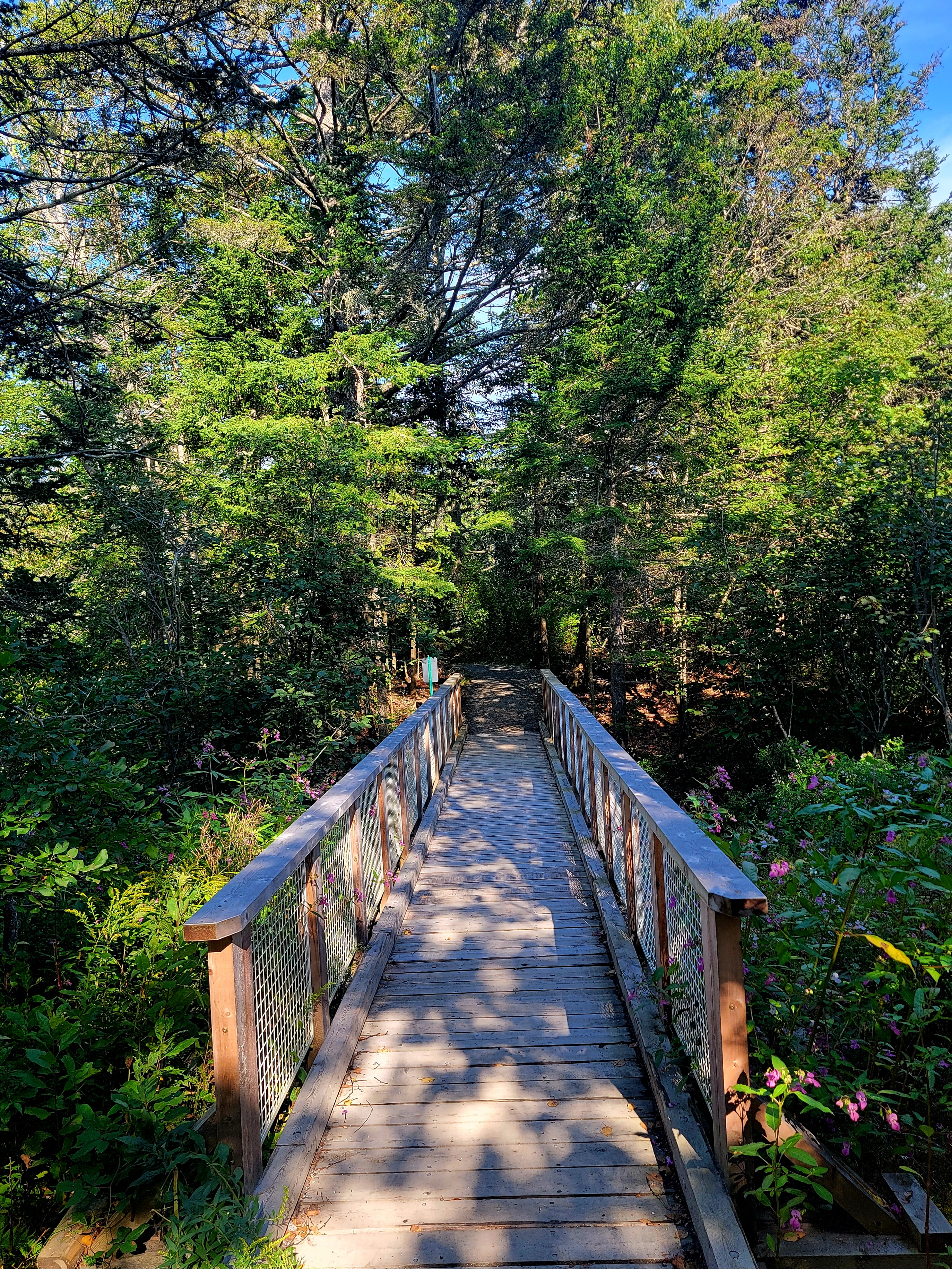 Exploring the Fort Point Trail