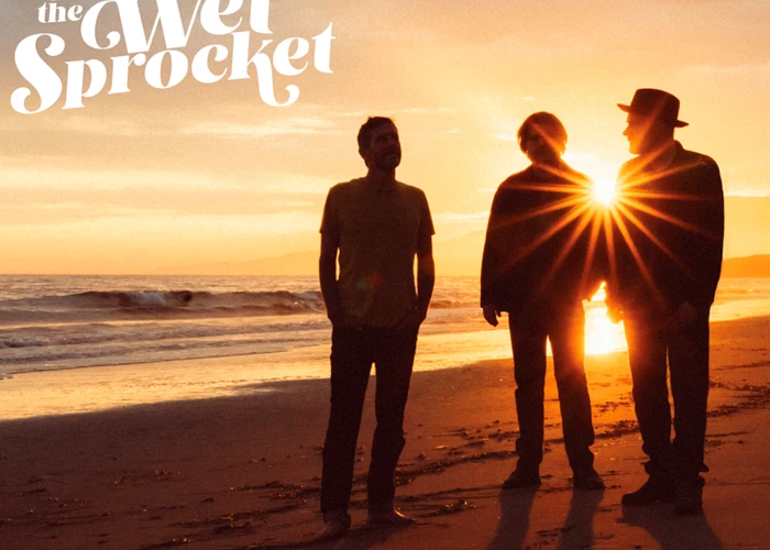 Toad the Wet Sprocket image