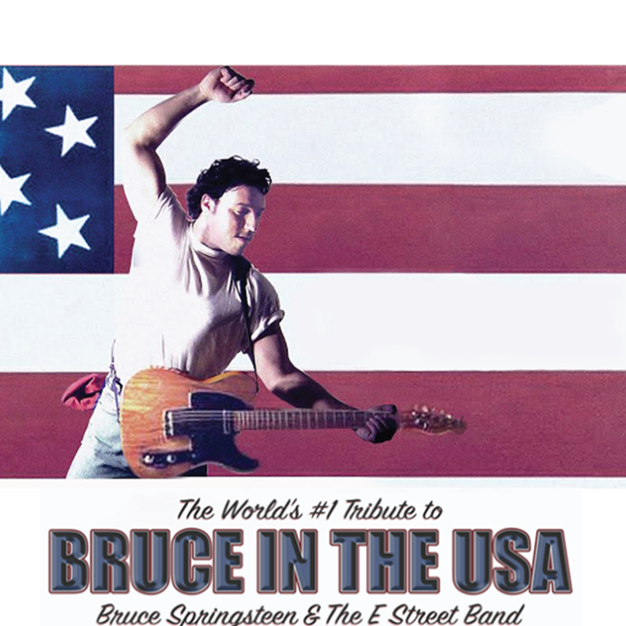Bruce in the USA image