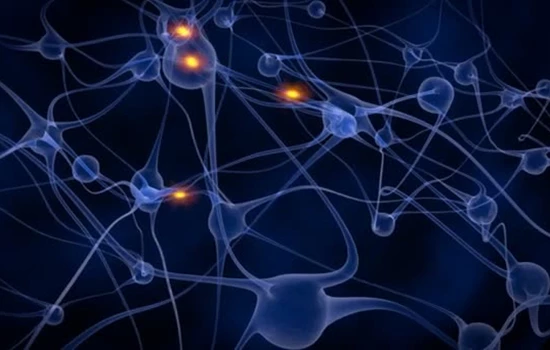 Autoimmune Neurology & Neuro-Rhematology | Brigham MS Center