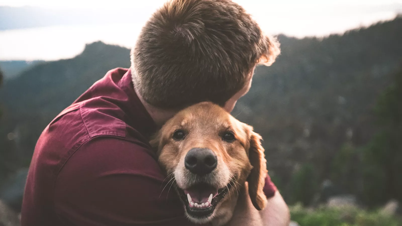 Man hugging a golden retriever who is looking at the camera