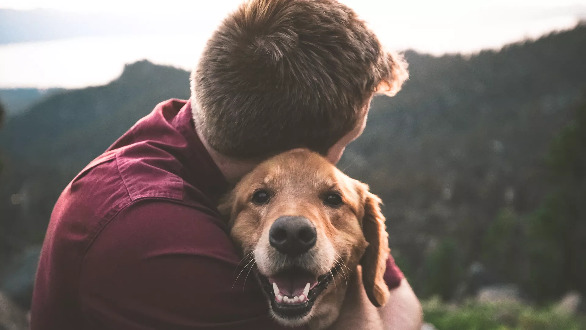 Man hugging a golden retriever who is looking at the camera