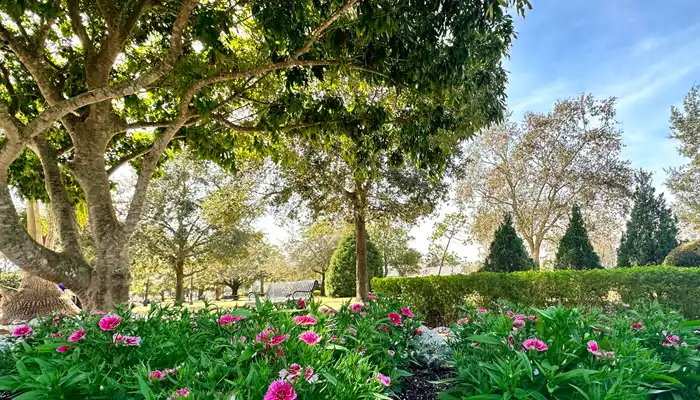 How renovations can position hotels to capture more event revenue Image