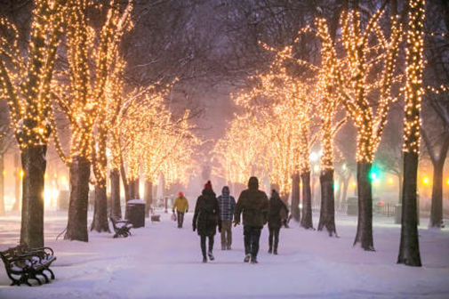 A winter scene of a snow-covered walkway with people walking, lined with trees decorated with lights.