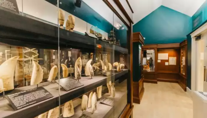 Image of Whaling Museum
