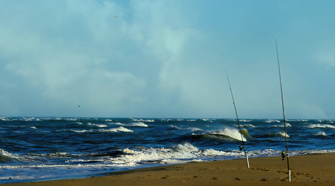 Image of Surf Casting