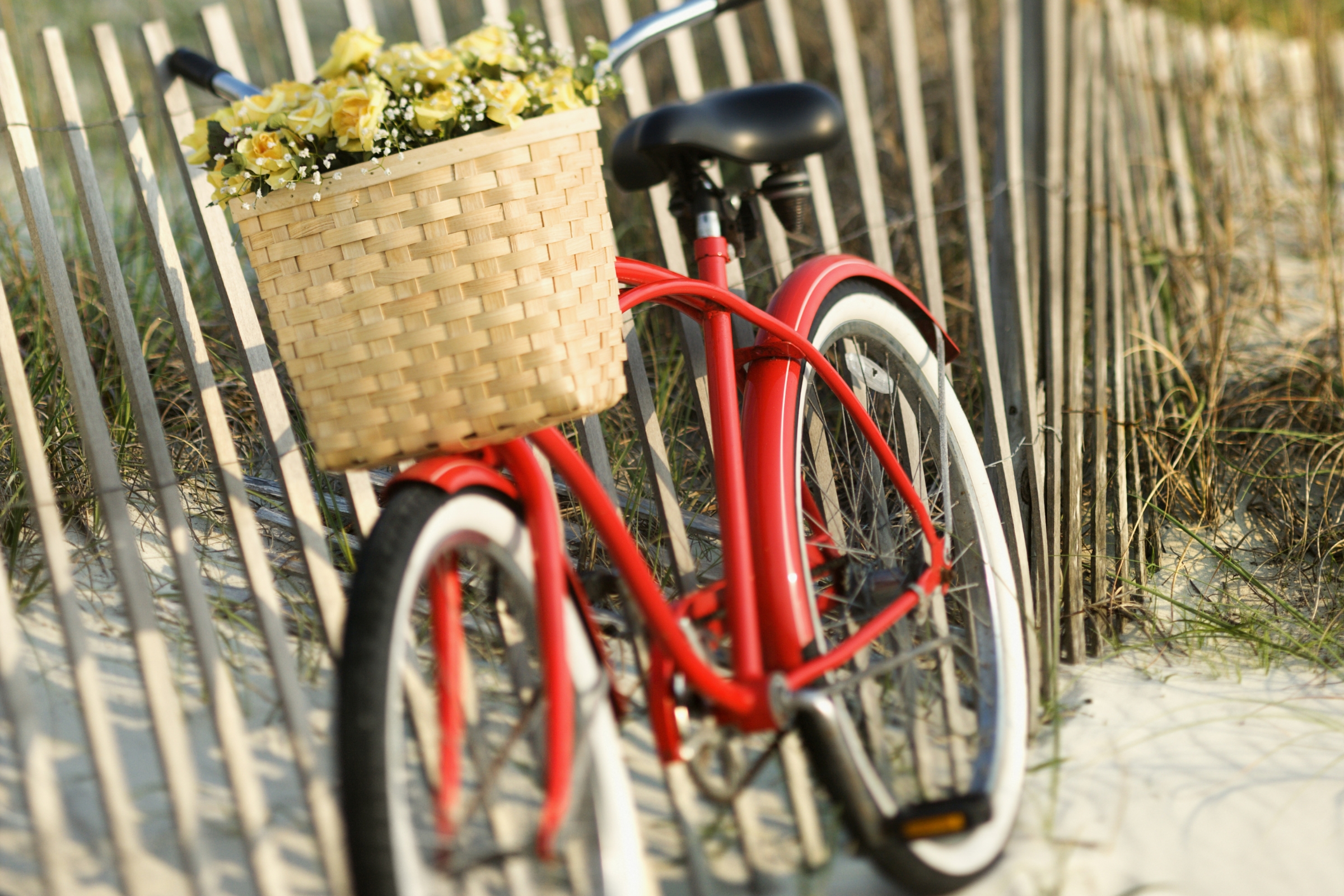 Image of Exploring Nantucket by Foot and Bike