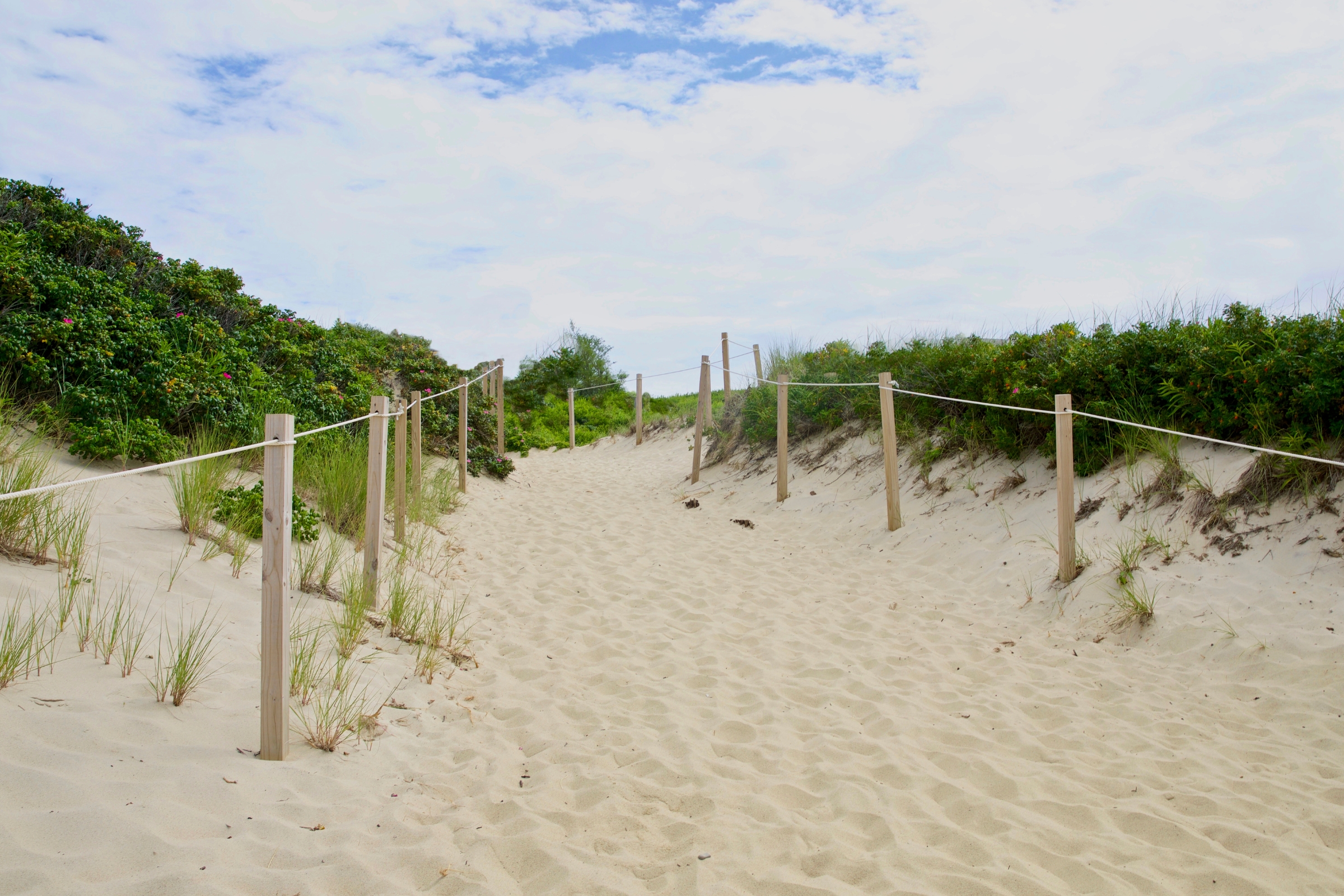 Image of Nantucket's Best Beaches