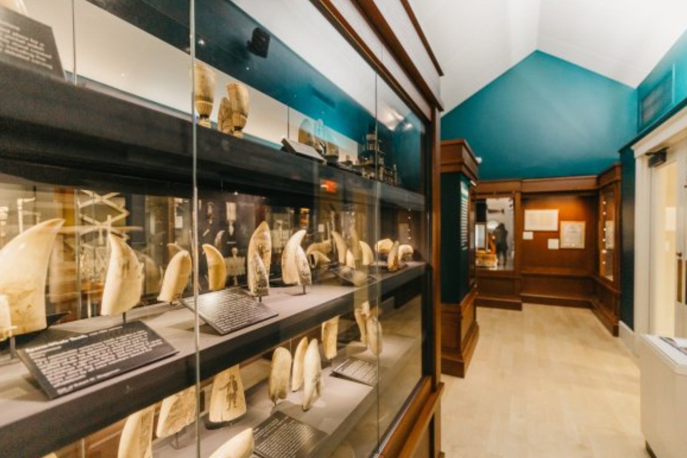 Image of Nantucket Whaling Museum: A Must Do!