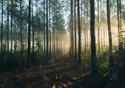 Image of Orono Land Trust