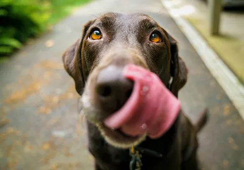 Image of Briarpatch Restaurant