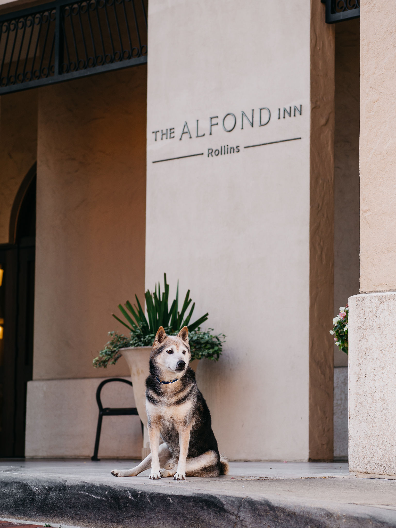 Image of Winter Park Farmers’ Market