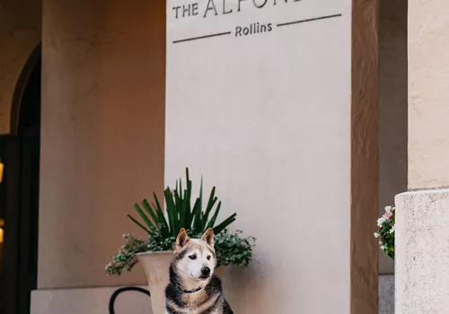 Image of Winter Park Farmers’ Market