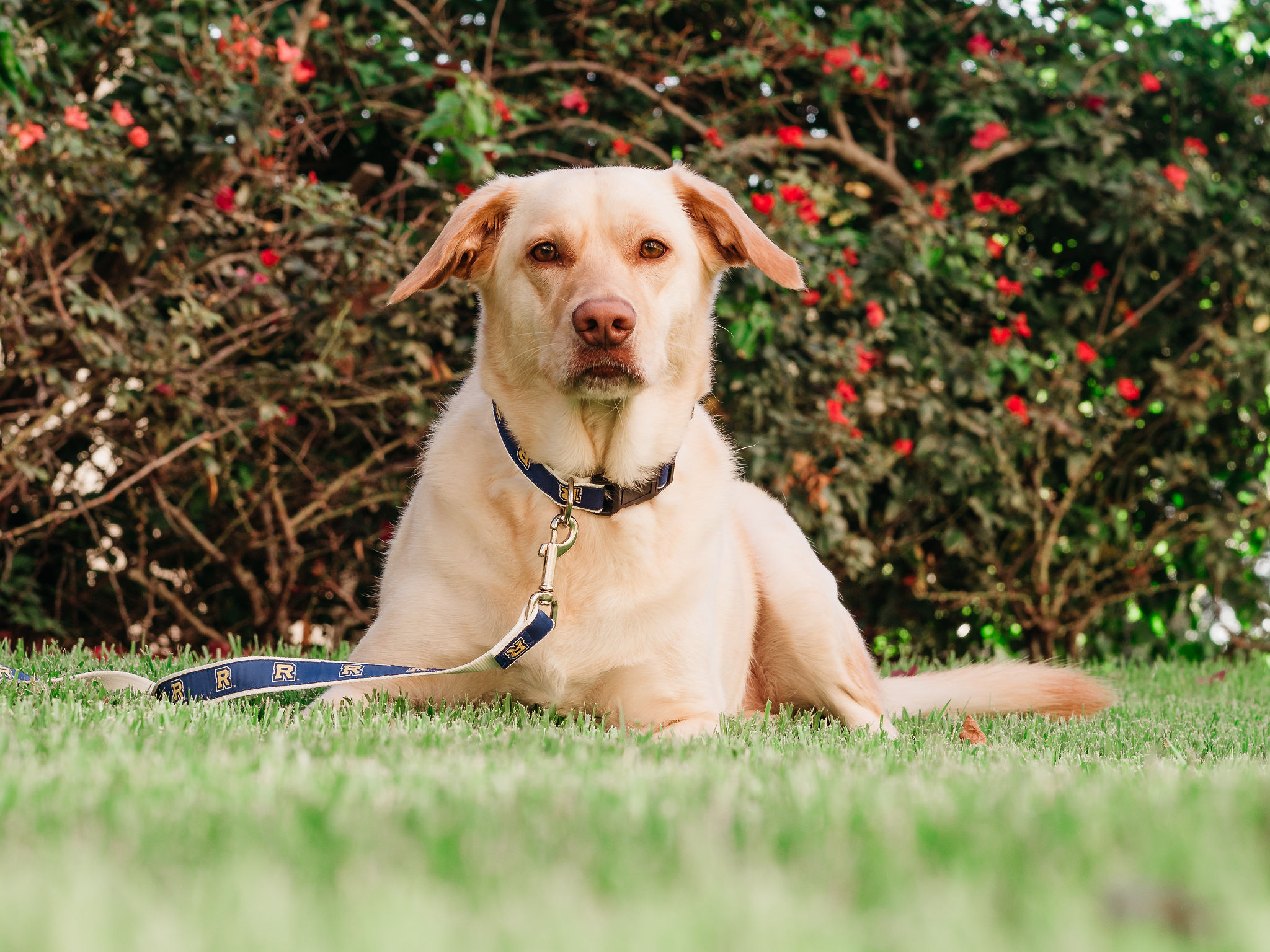 Image of Lake Baldwin Park