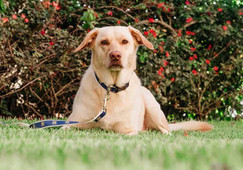 Image of Lake Baldwin Park