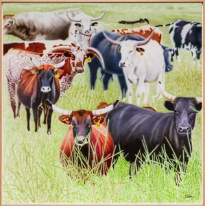 Image of the piece called Longhorns