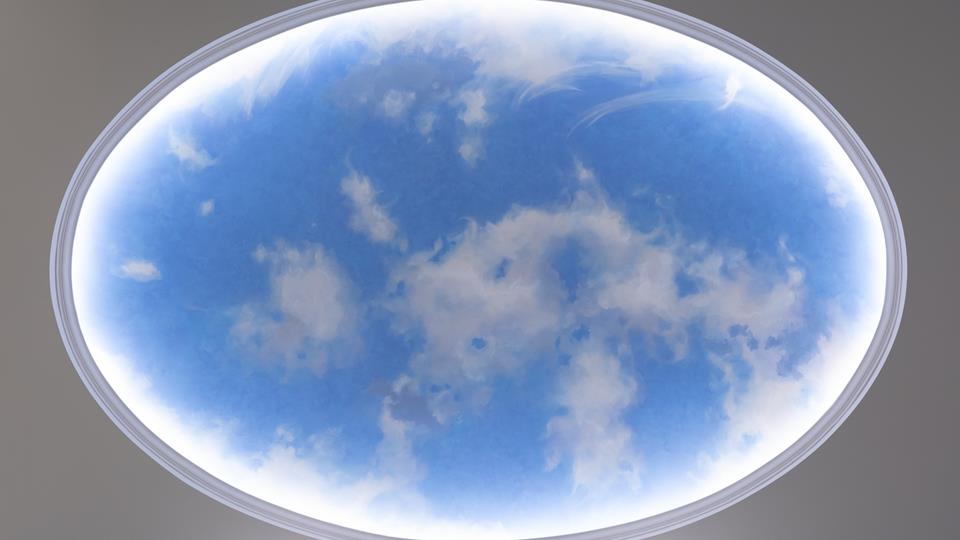 Aurora CO Local Artists at The Benson Hotel