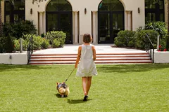 Dog sitting next to suitcases