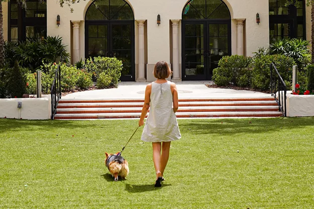 Dog sitting next to suitcases