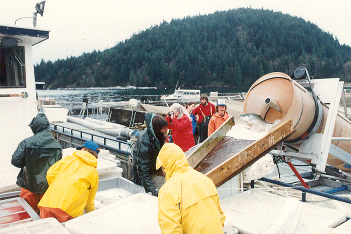 Celebrating 40 years of PR Aqua: a Timeline | PR Aqua