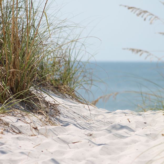 Beach with sand