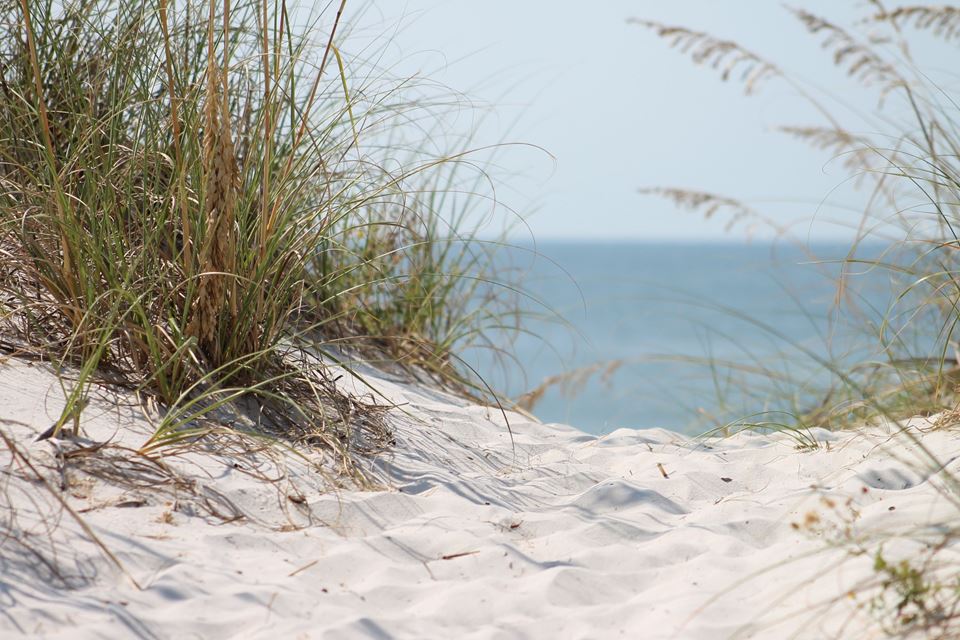 Beach with sand