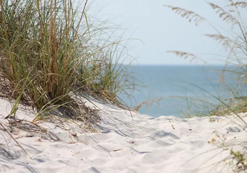 Image of Nantucket's Best for Less