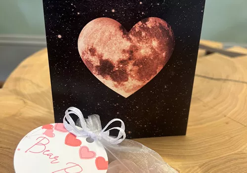 Image of  The Bear Pair Sweethearts Package