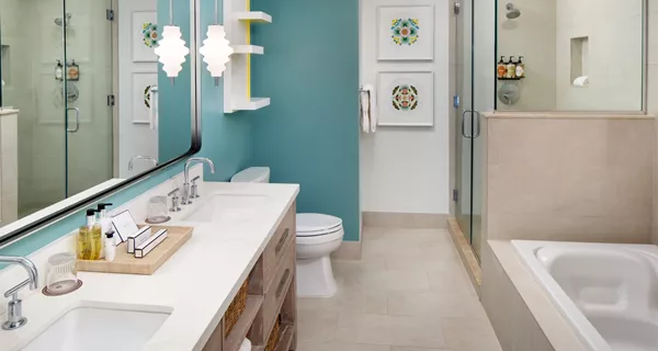 Accessible Luxury Suite Image