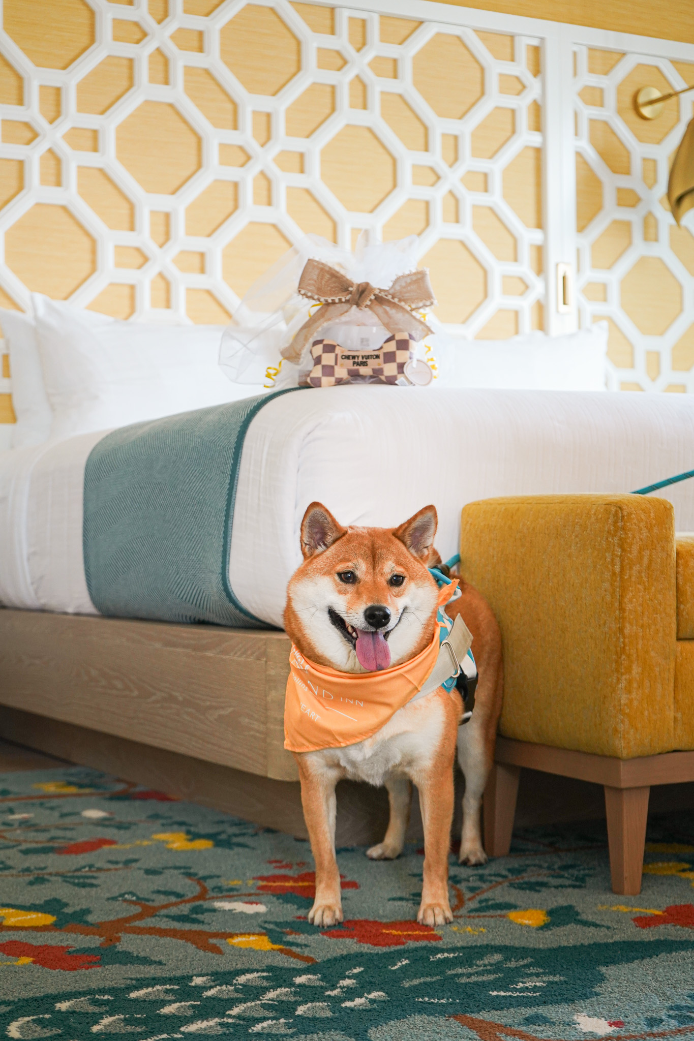 Image of Cady Way Trail