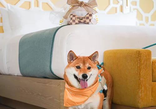 Image of Cady Way Trail