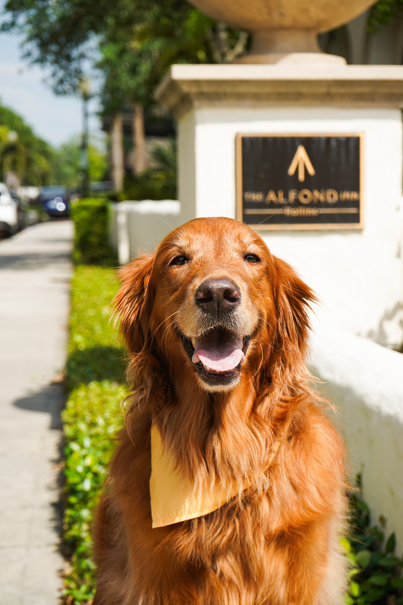 Image of Mead Botanical Garden