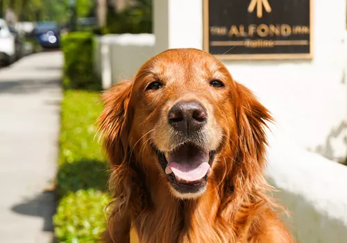Image of Mead Botanical Garden