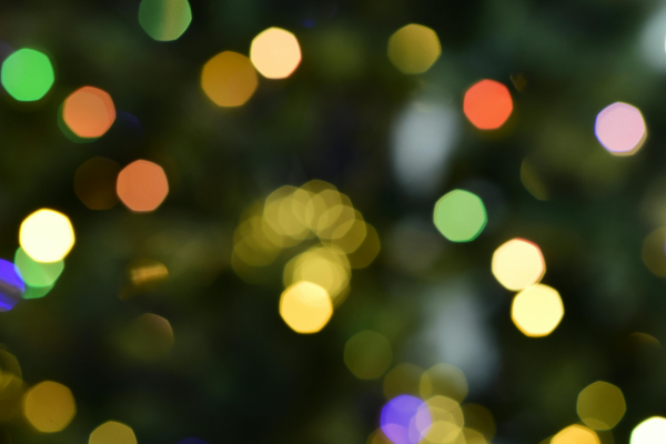 Elvis & Sinatra Christmas Show Image